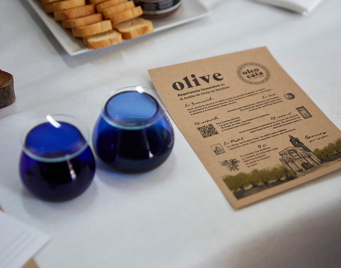 AOVE & Vermut: Experiencia de Oleoturismo - Imagen 4