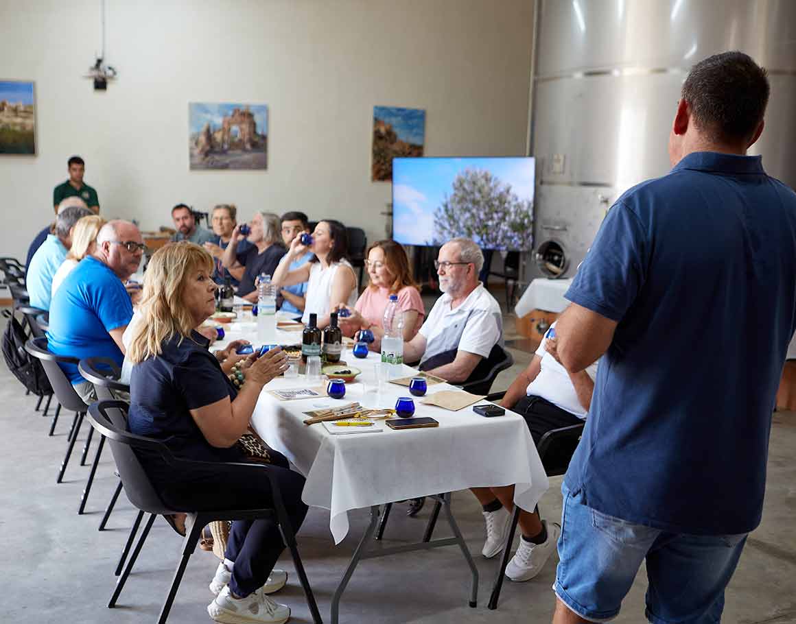 AOVE & Vermut: Experiencia de Oleoturismo - Imagen 6
